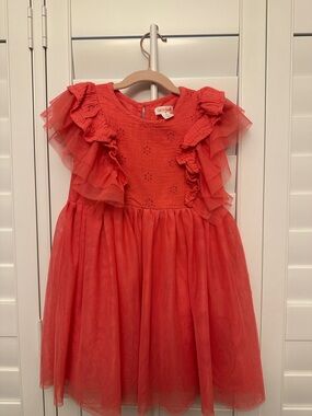 Cat & Jack Coral-Red Ruffle Tulle Party Dress